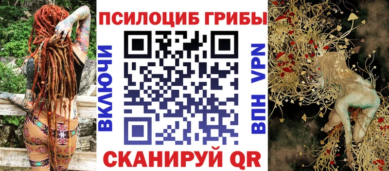 где купить   Онега  Псилоцибиновые грибы GOLDEN TEACHER 